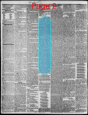Page thumbnail for The Arkansas Banner