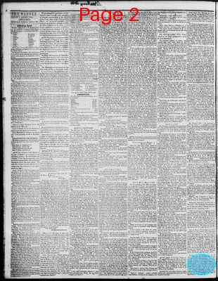 Page thumbnail for The Arkansas Banner