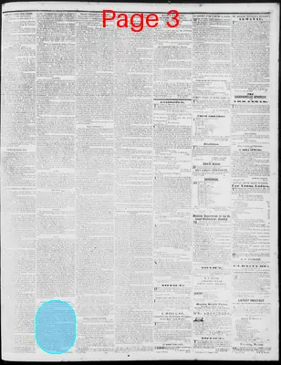 Page thumbnail for The Arkansas Banner
