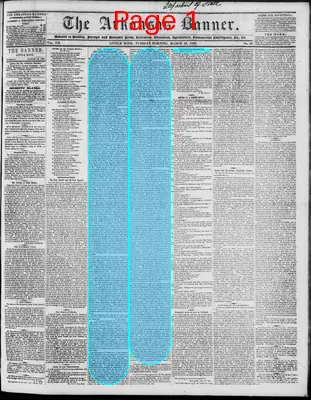 Page thumbnail for The Arkansas Banner