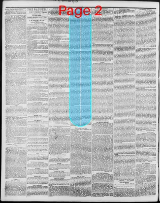 Page thumbnail for The Arkansas Banner