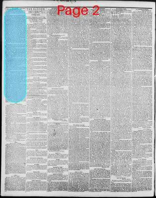 Page thumbnail for The Arkansas Banner