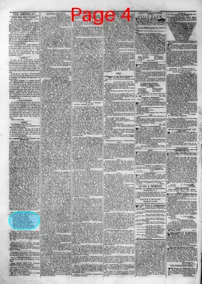 Page thumbnail for The American