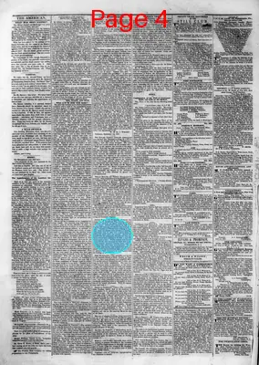 Page thumbnail for The American