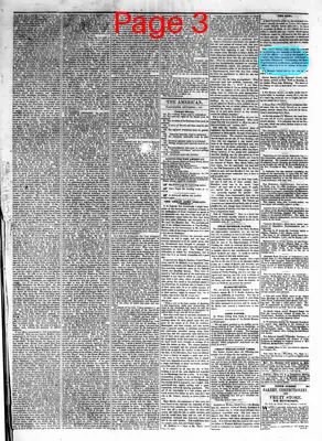 Page thumbnail for The American