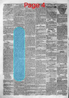 Page thumbnail for The American