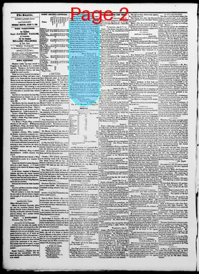 Page thumbnail for The Davenport Gazette