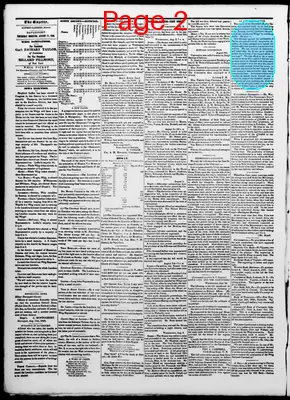 Page thumbnail for The Davenport Gazette