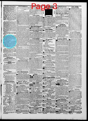 Page thumbnail for The Davenport Gazette