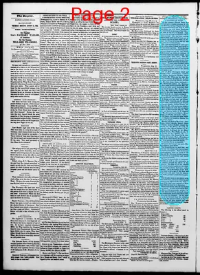 Page thumbnail for The Davenport Gazette