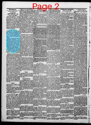 Page thumbnail for The Davenport Gazette