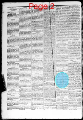Page thumbnail for The Davenport Gazette
