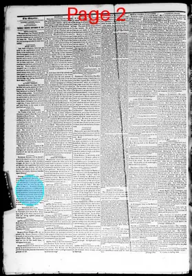 Page thumbnail for The Davenport Gazette