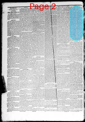 Page thumbnail for The Davenport Gazette