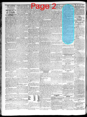 Page thumbnail for The Davenport Gazette