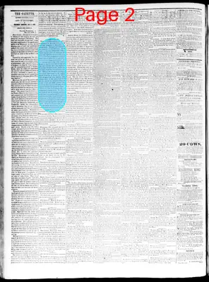 Page thumbnail for The Davenport Gazette
