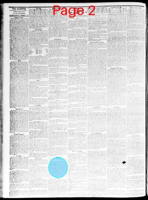 Page thumbnail for The Davenport Gazette