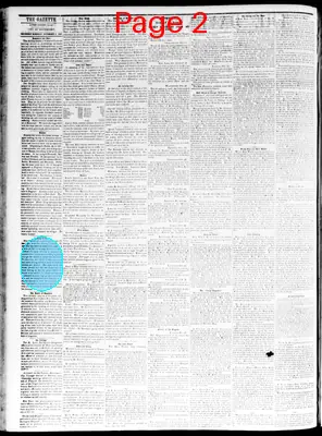 Page thumbnail for The Davenport Gazette