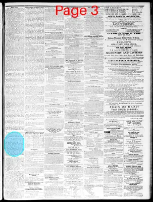 Page thumbnail for The Davenport Gazette