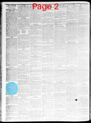Page thumbnail for The Davenport Gazette