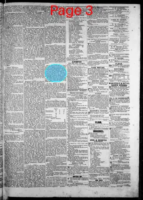 Page thumbnail for The Iowa Patriot