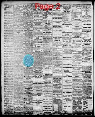 Page thumbnail for Daily Iowa State Democrat