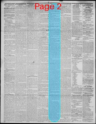 Page thumbnail for Arkansas True Democrat