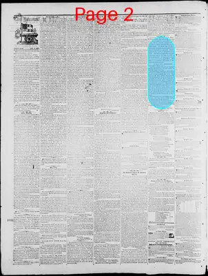 Page thumbnail for Arkansas True Democrat