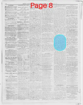 Page thumbnail for The Evansville Journal