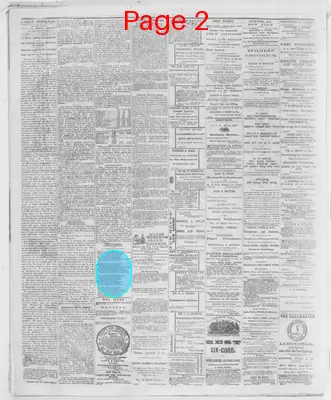 Page thumbnail for The Evansville Journal