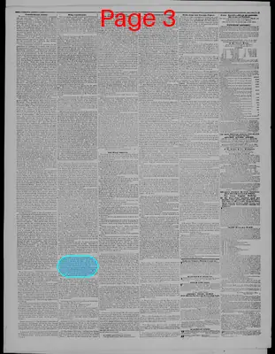 Page thumbnail for Indiana State Sentinel