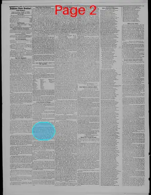 Page thumbnail for Indiana State Sentinel