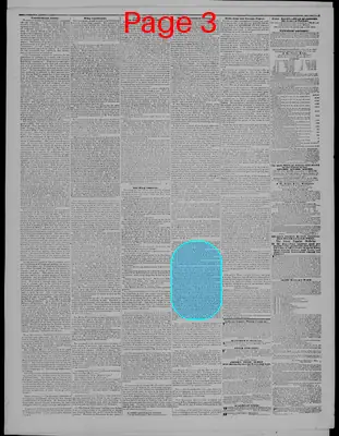 Page thumbnail for Indiana State Sentinel