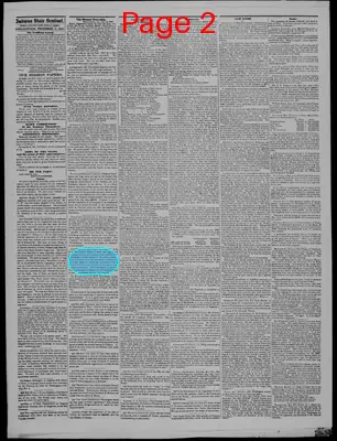 Page thumbnail for Indiana State Sentinel