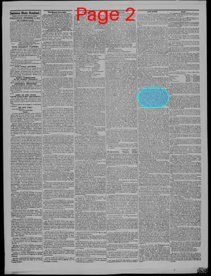Page thumbnail for Indiana State Sentinel
