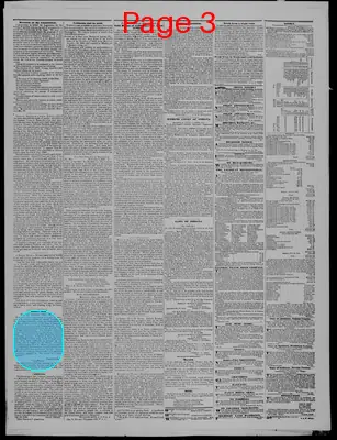 Page thumbnail for Indiana State Sentinel