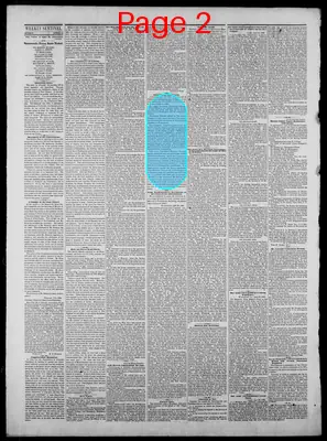 Page thumbnail for Indiana State Sentinel