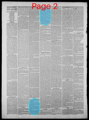 Page thumbnail for Indiana State Sentinel