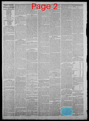 Page thumbnail for Indiana State Sentinel