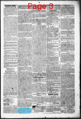 Page thumbnail for The Litchfield County Post