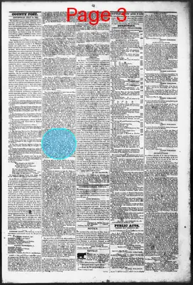 Page thumbnail for The Litchfield County Post