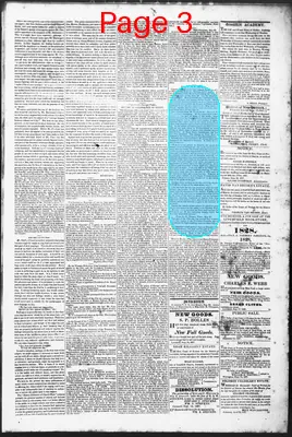 Page thumbnail for The Litchfield County Post