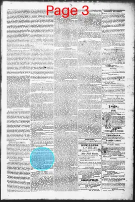 Page thumbnail for The Litchfield County Post