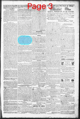 Page thumbnail for The Litchfield County Post