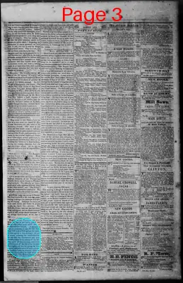 Page thumbnail for Lincoln Telegraph
