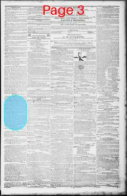 Page thumbnail for Lincoln Telegraph