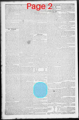 Page thumbnail for Lincoln Telegraph