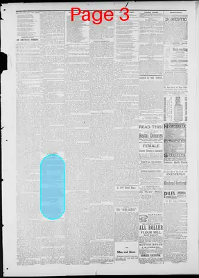 Page thumbnail for Sacramento Daily Record Union