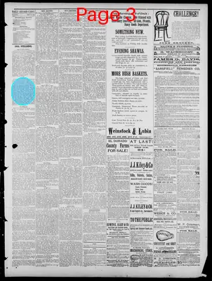 Page thumbnail for Sacramento Daily Record Union