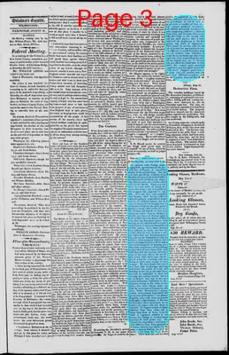Page thumbnail for Delaware Gazette And Peninsula Advertiser